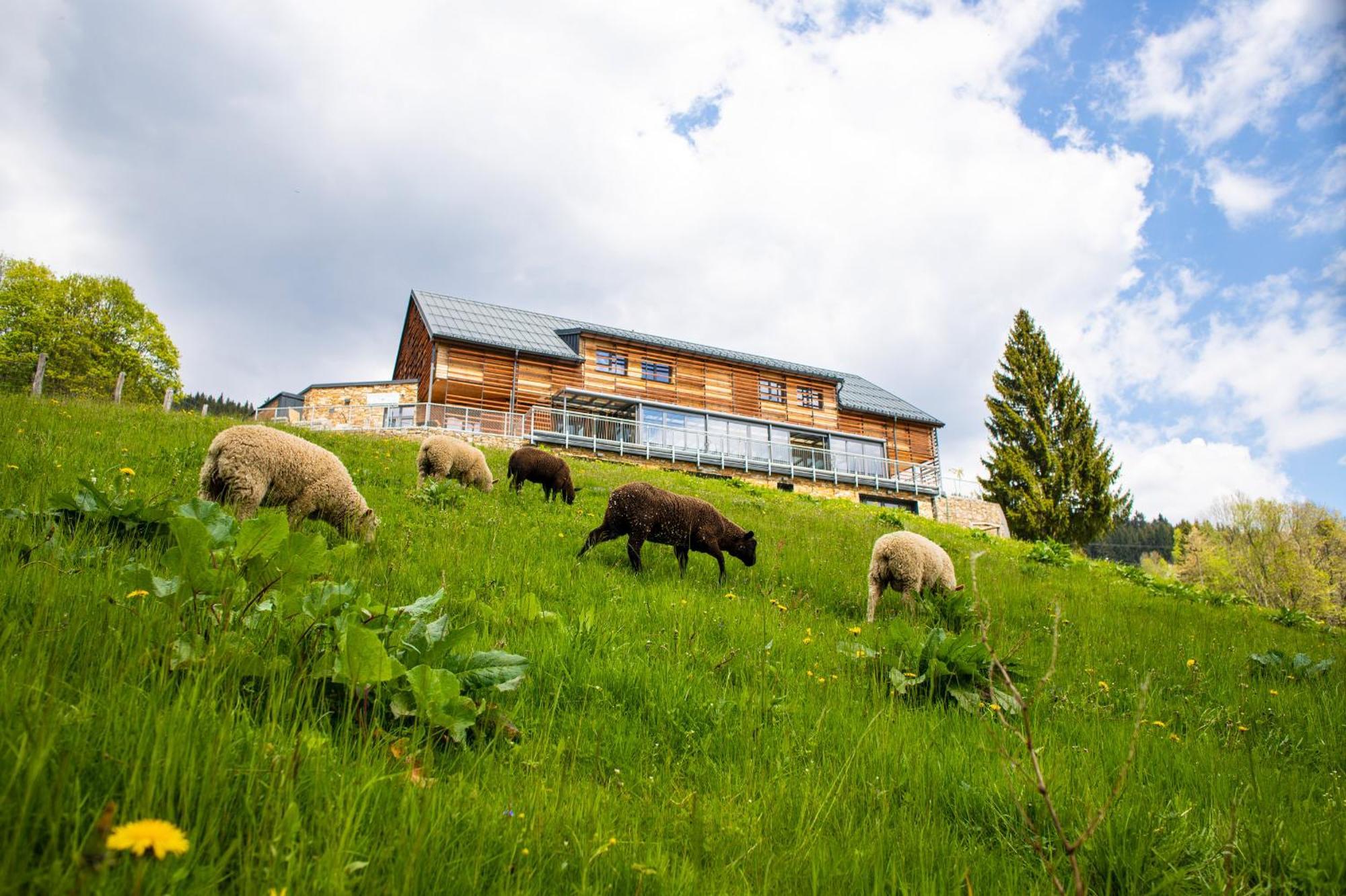 Amenity Hotel & Resort Špindlerŭv Mlýn 外观 照片