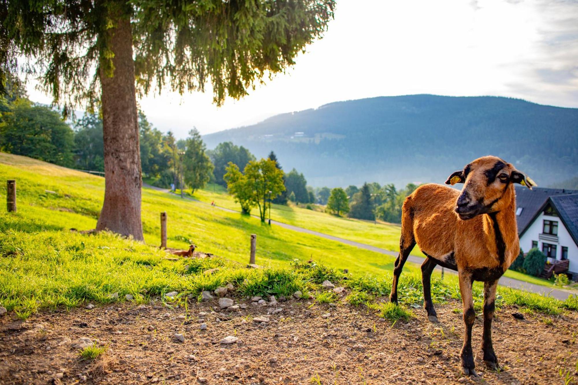 Amenity Hotel & Resort Špindlerŭv Mlýn 外观 照片