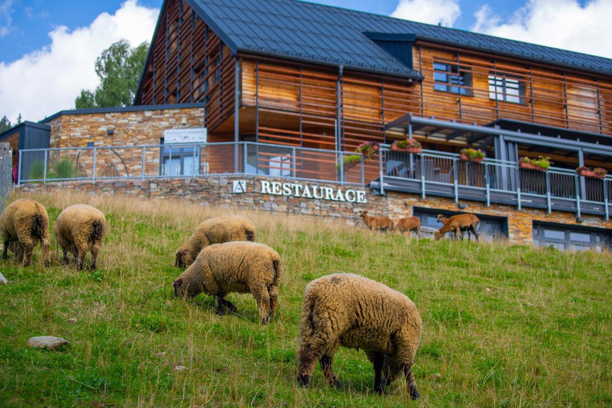 Amenity Hotel & Resort Špindlerŭv Mlýn 外观 照片